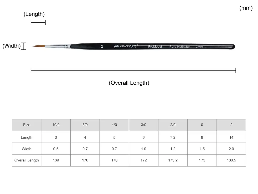 GM01 specification