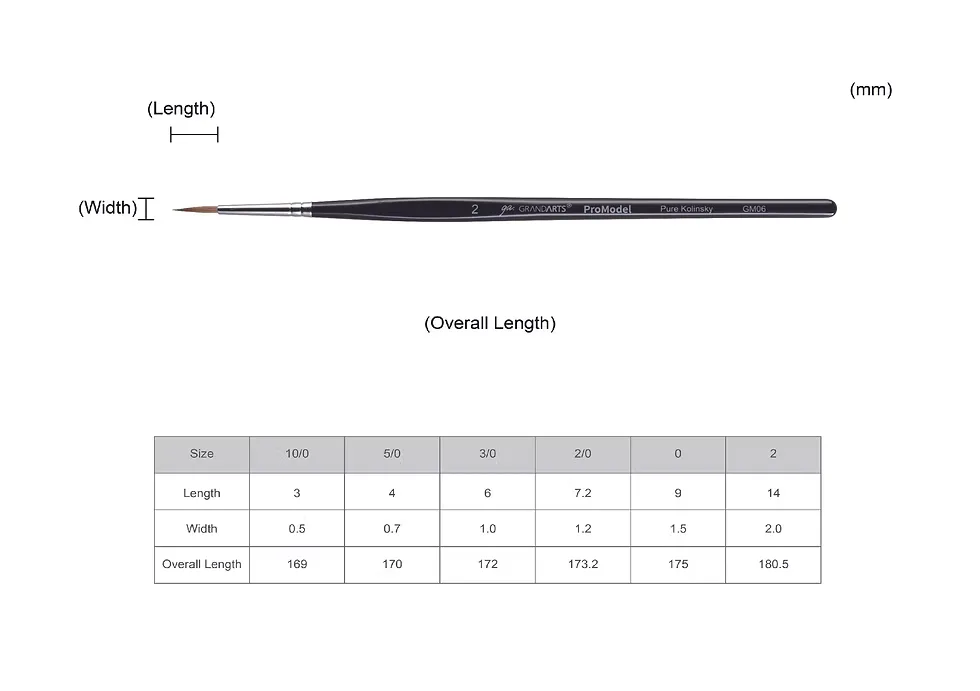 GM06 specification